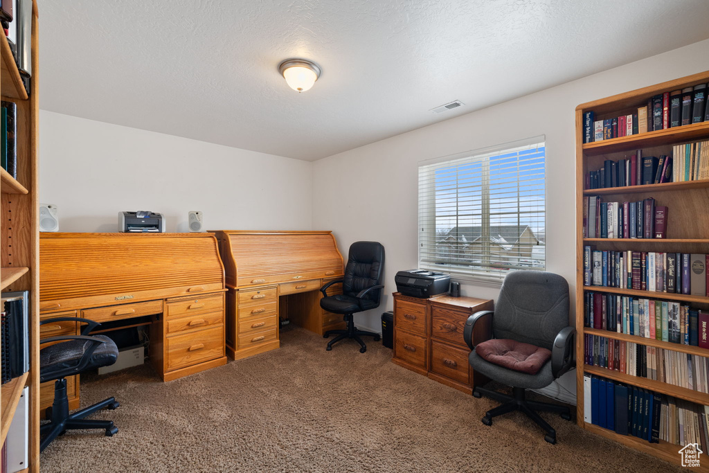 Home office featuring carpet floors and visible vents