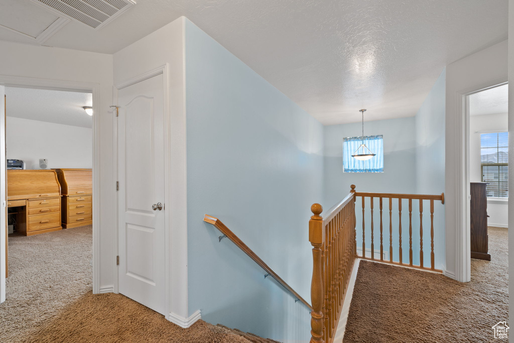 Stairs with visible vents and carpet flooring