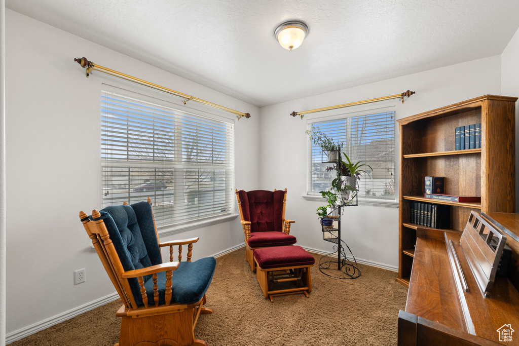 Living area with carpet flooring and baseboards