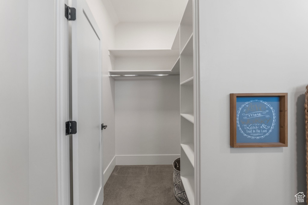 Spacious closet featuring carpet floors