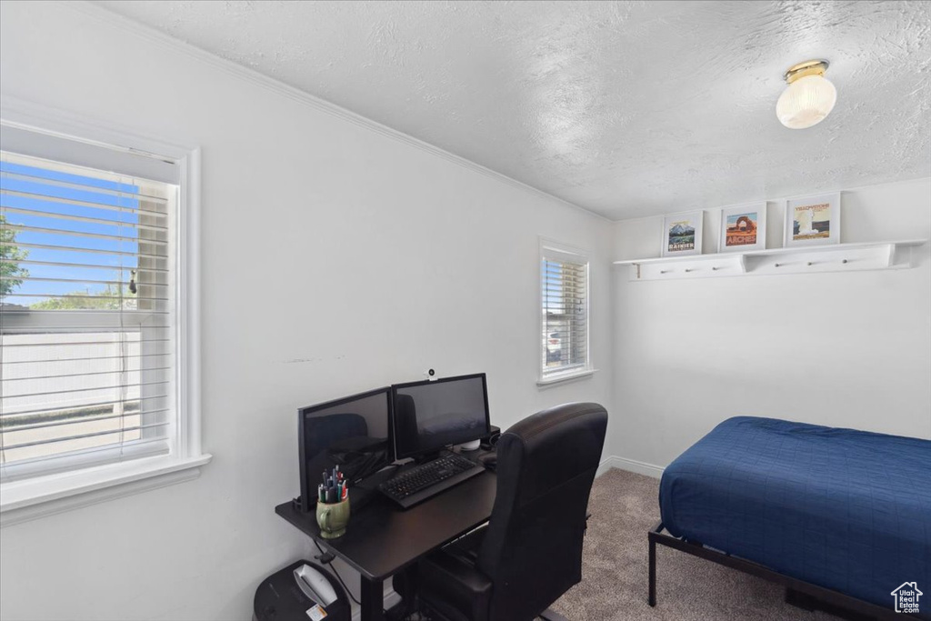 Carpeted bedroom featuring a textured ceiling and baseboards