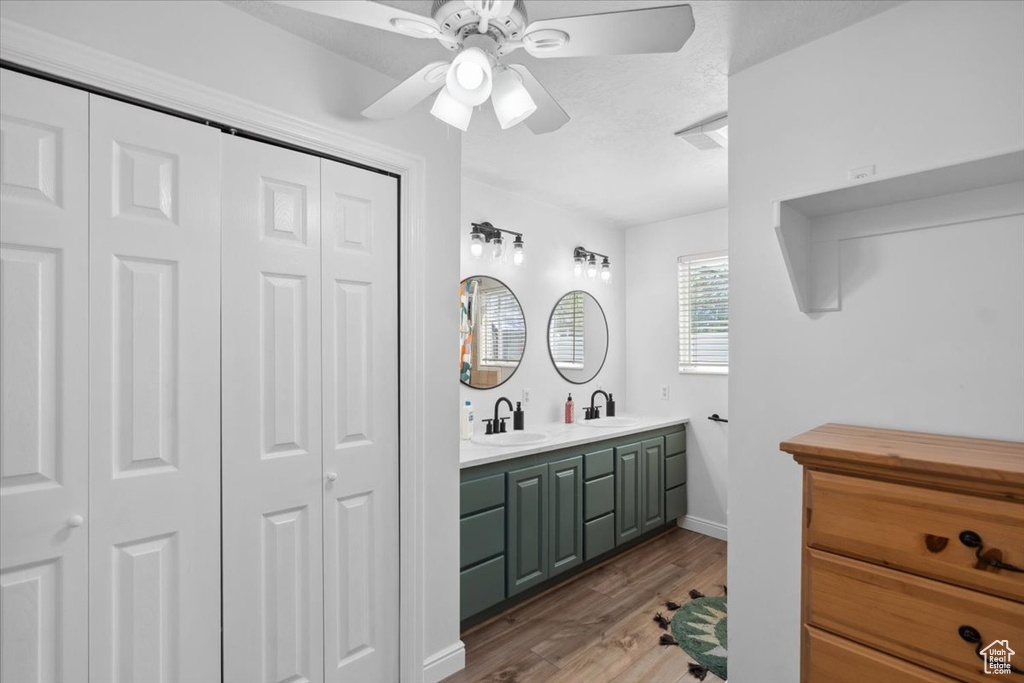 Bathroom featuring wood finished floors, a sink, and a closet