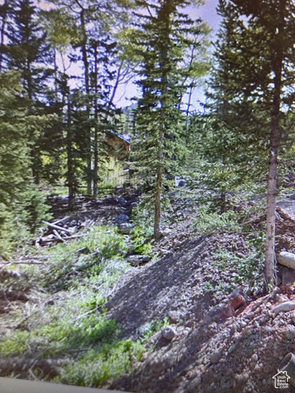 View of nature featuring a forest view