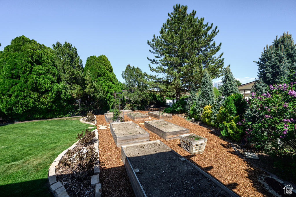 View of yard featuring a vegetable garden