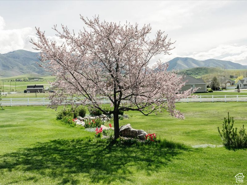 Mountain view with a rural view