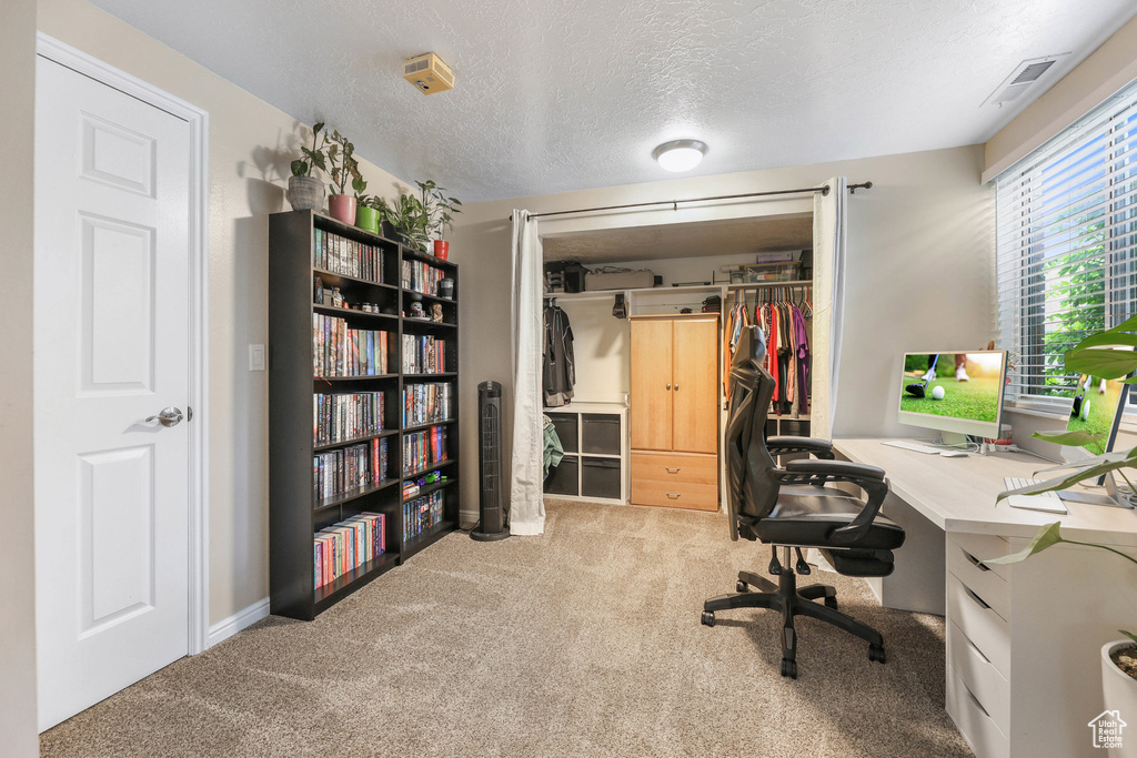 Carpeted office space with visible vents and a textured ceiling