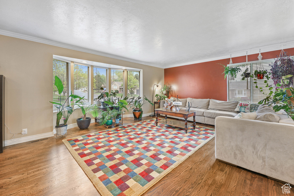Living room with baseboards, crown molding, and wood finished floors