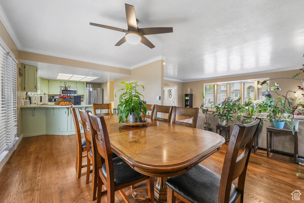 Dining room with crown molding, ceiling fan, and wood finished floors