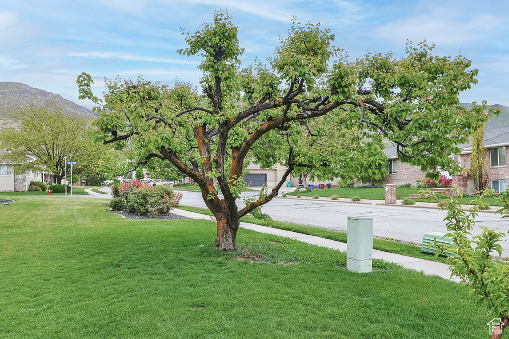 View of yard featuring a mountain view