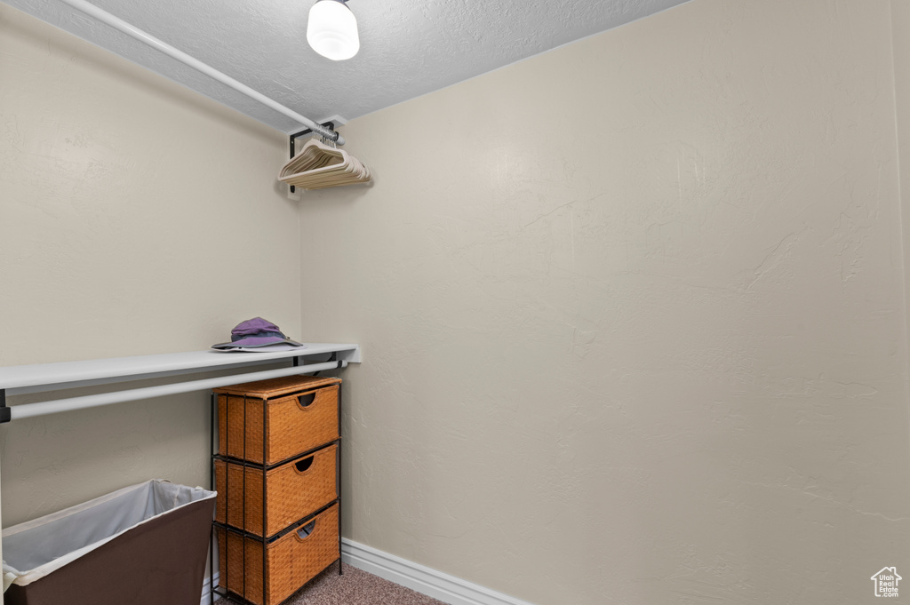 Walk in closet with carpet