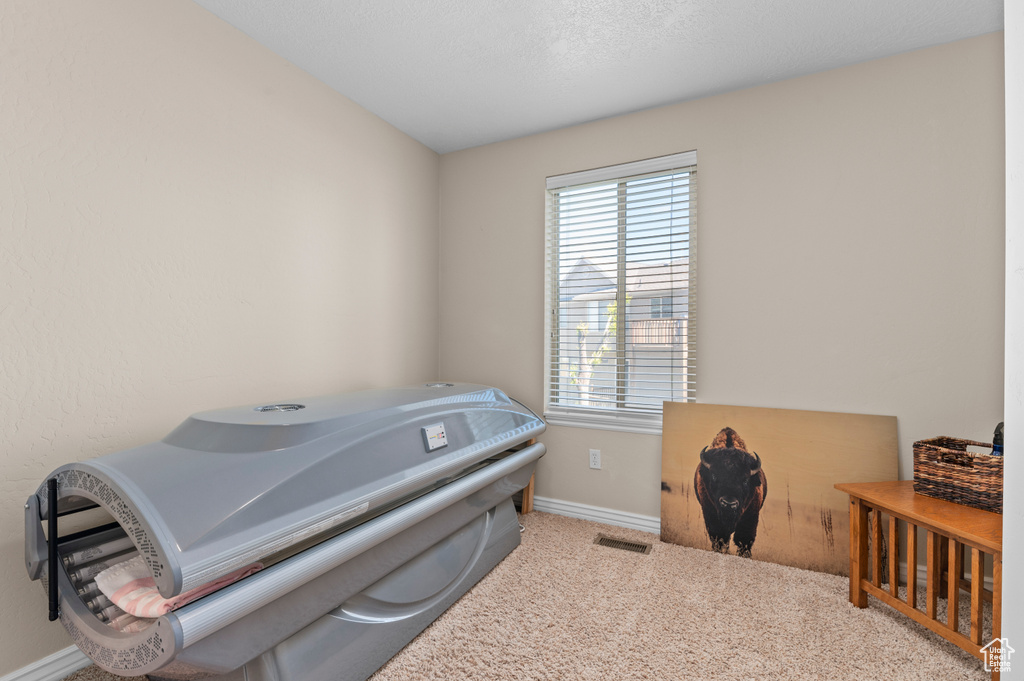 Miscellaneous room with baseboards, carpet floors, and visible vents