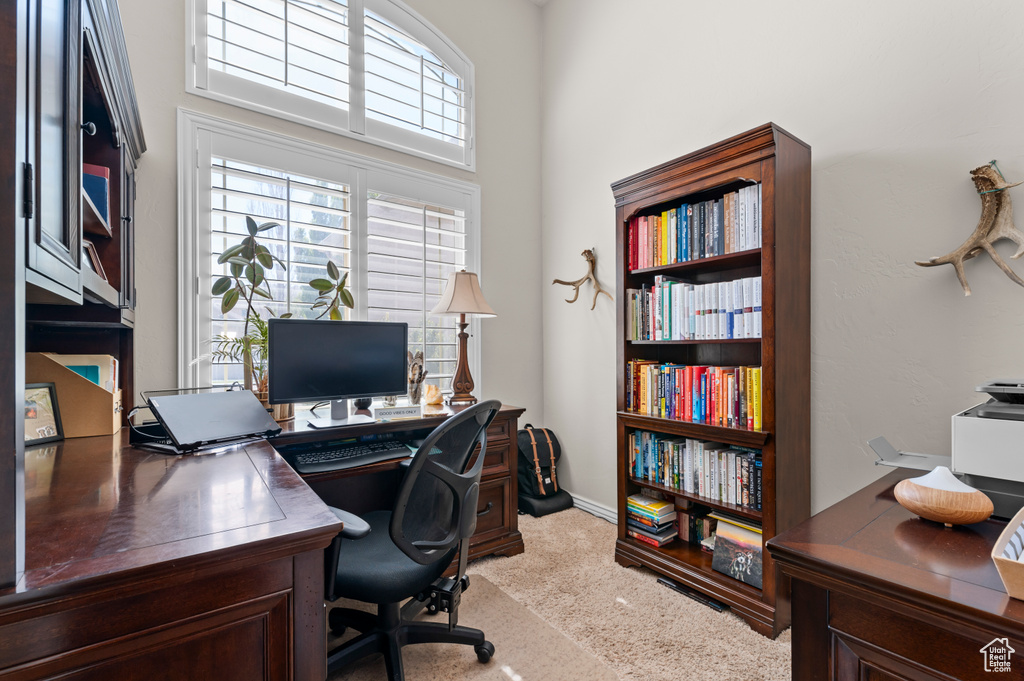 Office space with light colored carpet