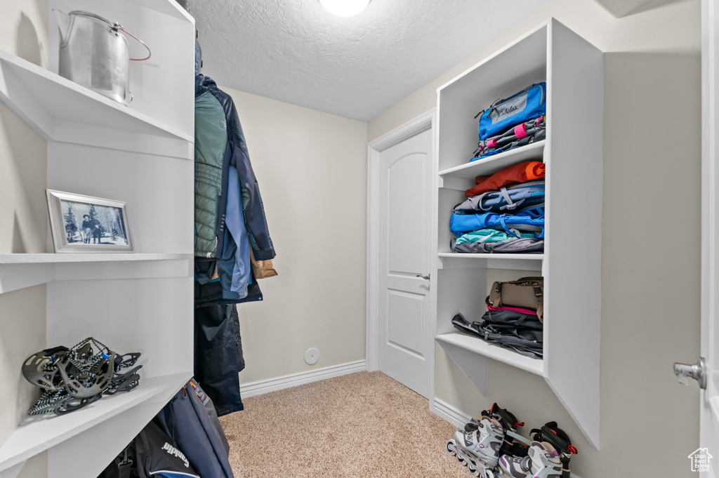 Walk in closet featuring carpet floors