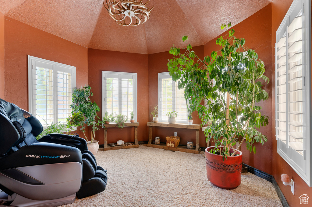 Living area featuring a textured ceiling, a notable chandelier, lofted ceiling, and carpet