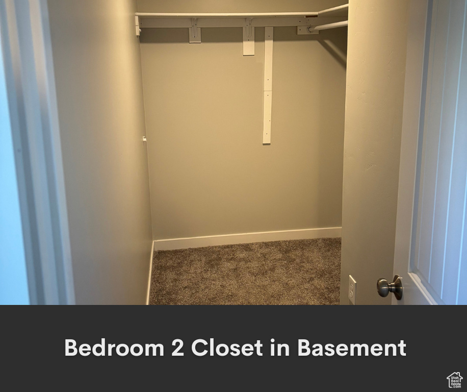 Walk in closet featuring carpet