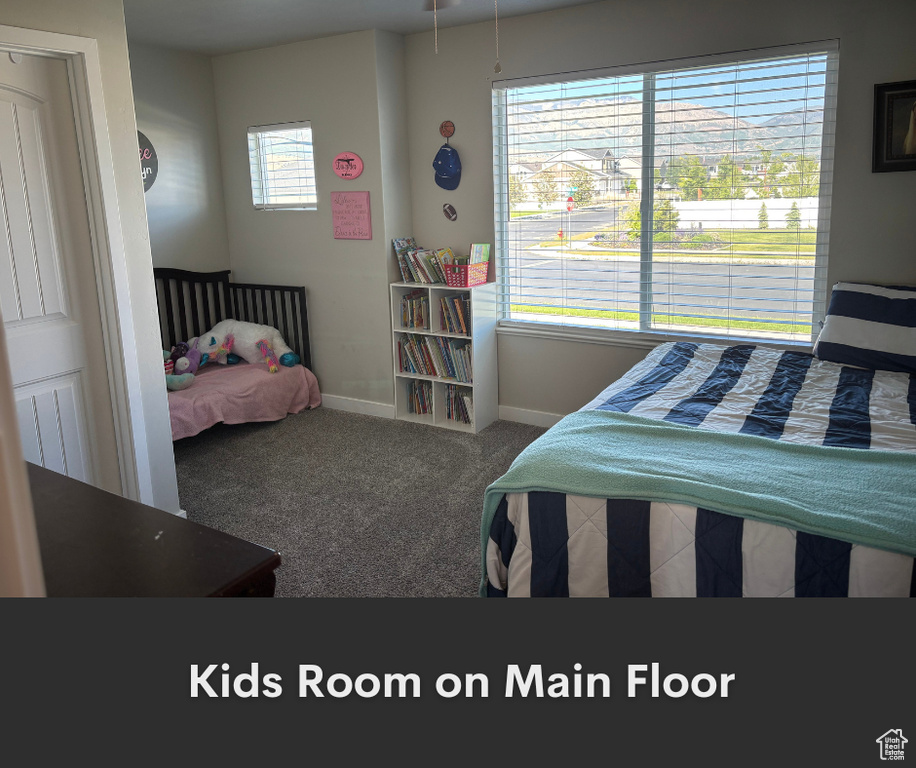 Bedroom featuring multiple windows, baseboards, and carpet