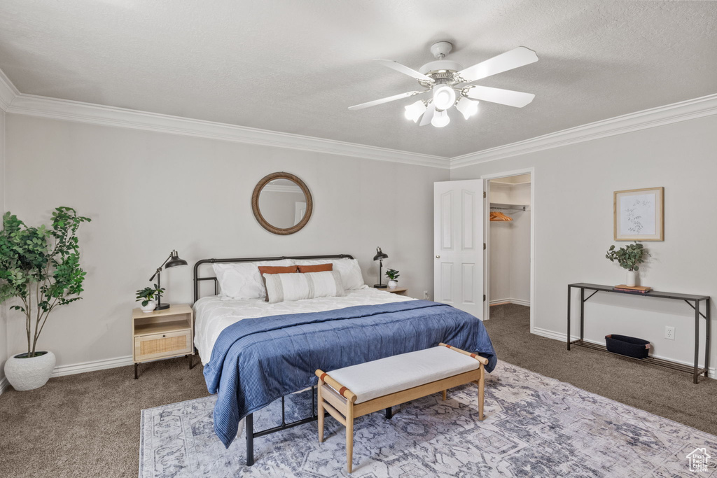 Carpeted bedroom featuring a ceiling fan, a textured ceiling, baseboards, a spacious closet, and ornamental molding