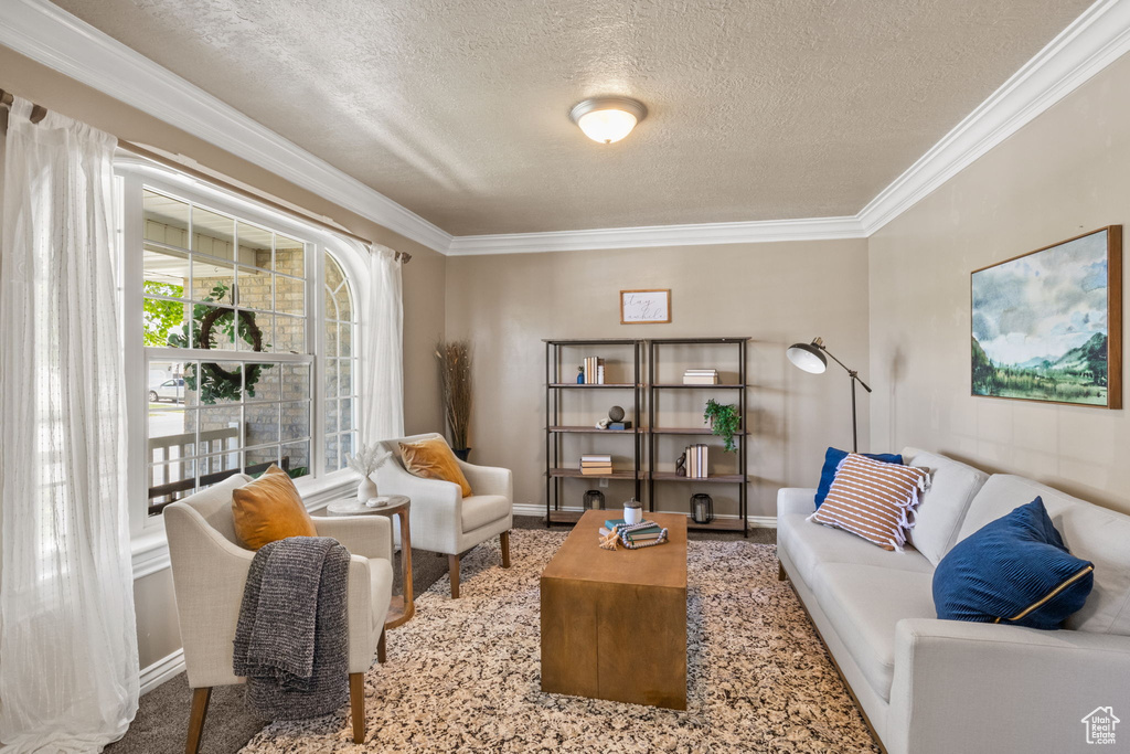 Sitting room featuring baseboards, ornamental molding, and a textured ceiling