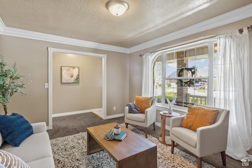 Living room with carpet floors, a textured ceiling, and ornamental molding