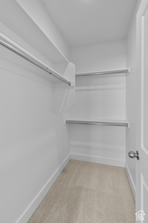 Spacious closet featuring carpet flooring