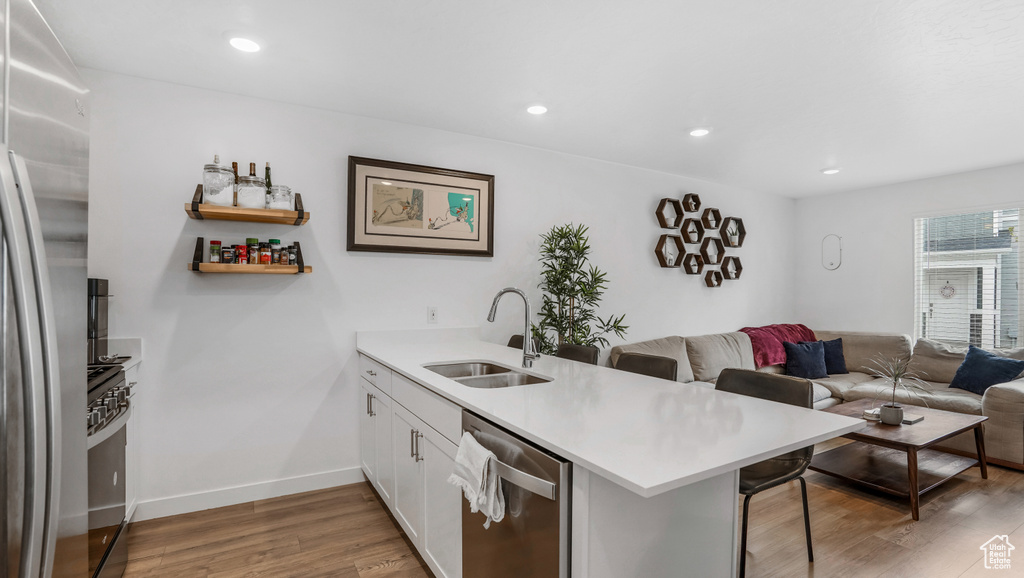 Kitchen featuring a sink, a peninsula, open floor plan, light wood-style floors, and stainless steel appliances
