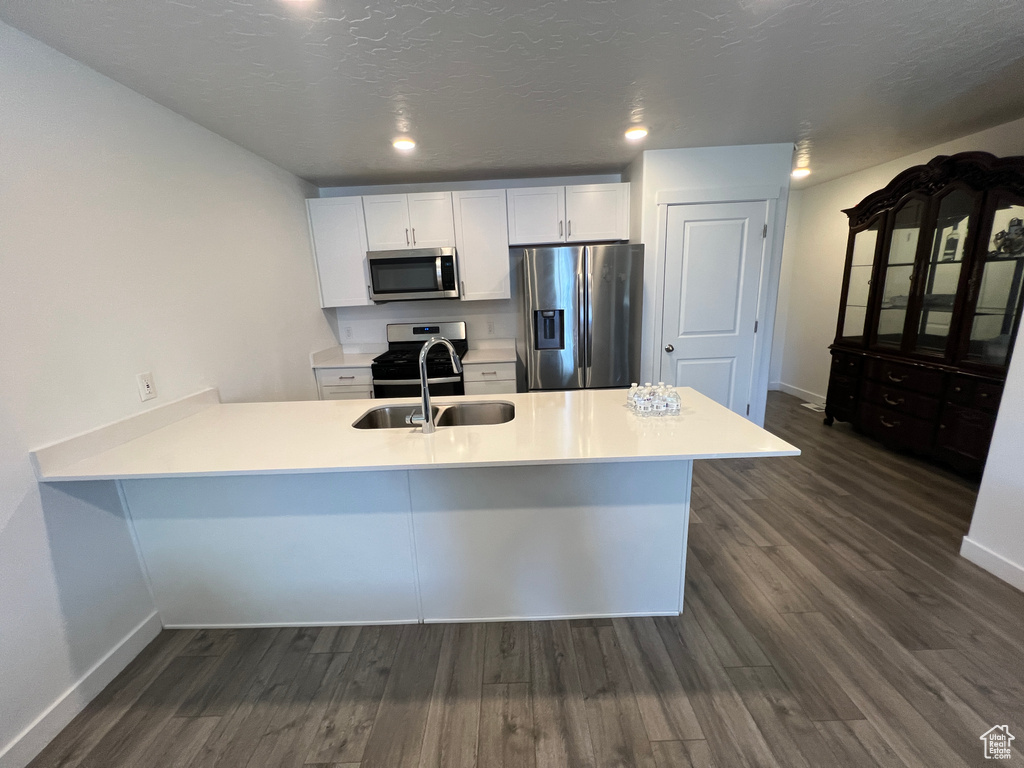 Kitchen with appliances with stainless steel finishes, a sink, dark wood-style floors, a peninsula, and recessed lighting