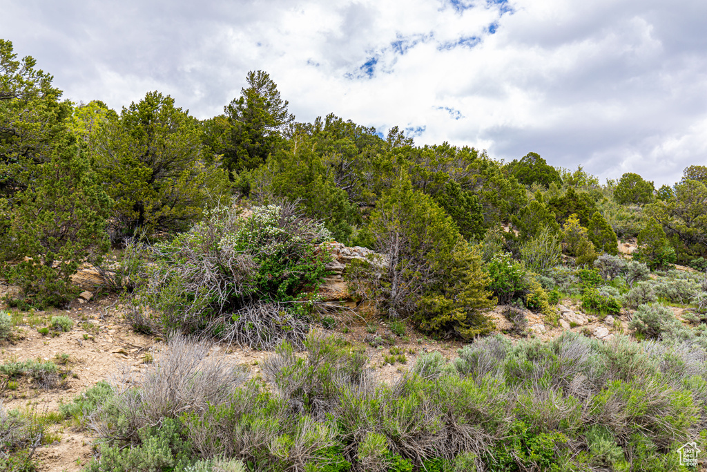 View of landscape featuring a wooded view