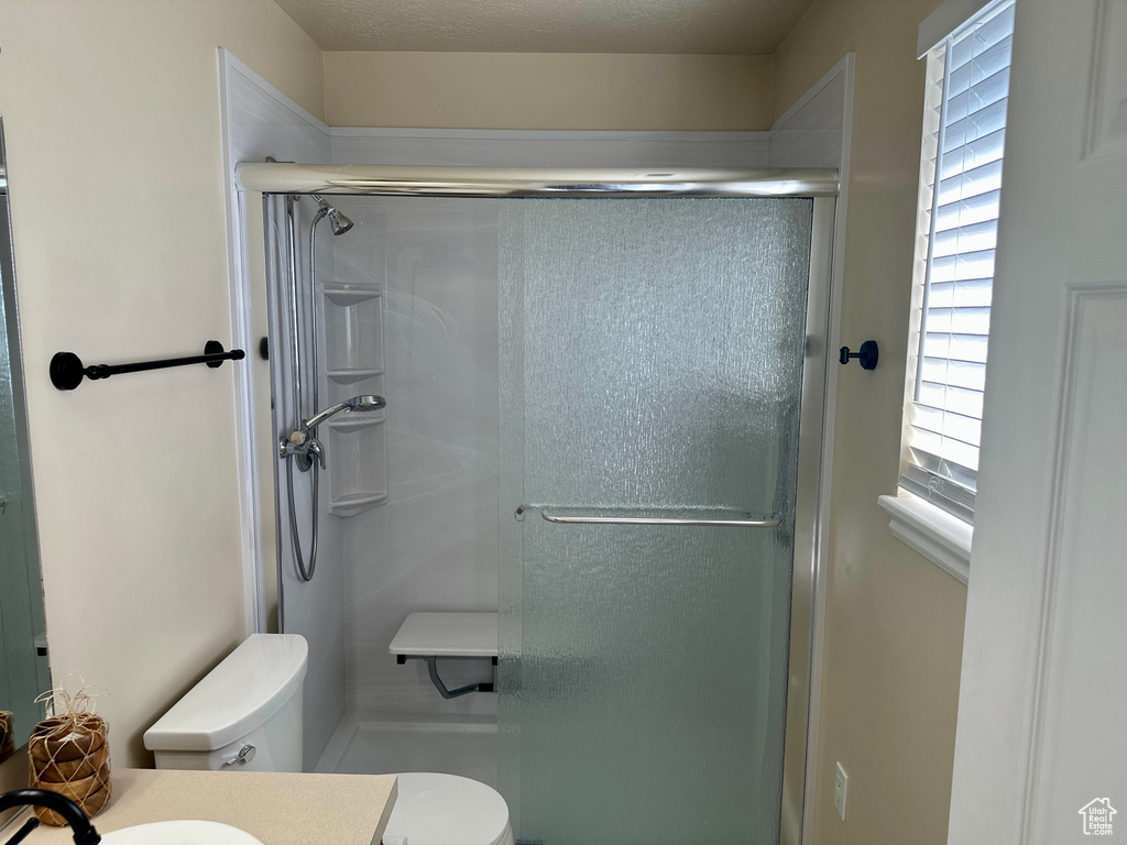Bathroom with toilet, a stall shower, and vanity