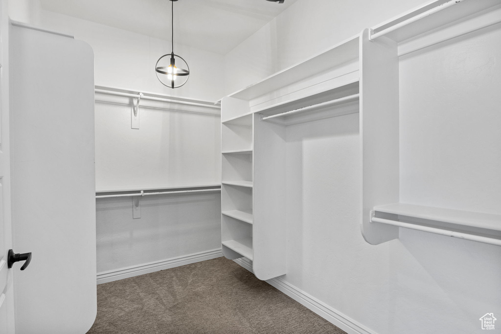 Spacious closet with carpet