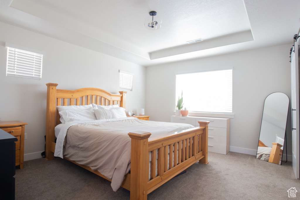 Carpeted bedroom featuring a tray ceiling and visible vents