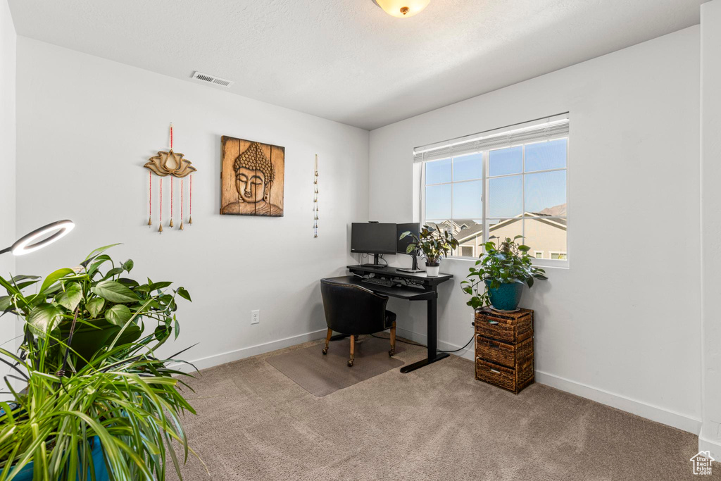 Home office featuring visible vents, baseboards, and carpet floors