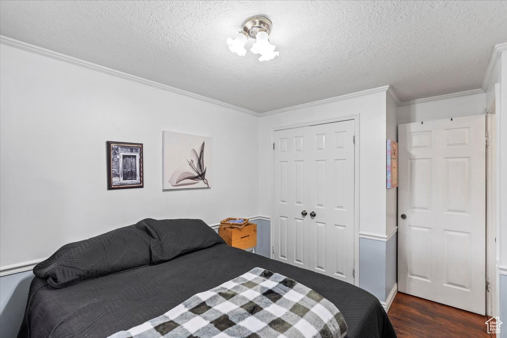 Bedroom featuring crown molding, dark wood-style floors, a textured ceiling, and a closet