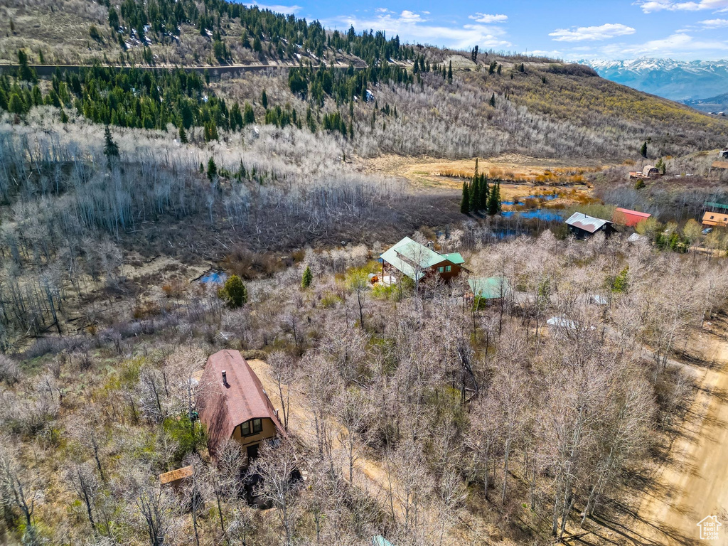 Aerial view featuring a rural view and a mountain view