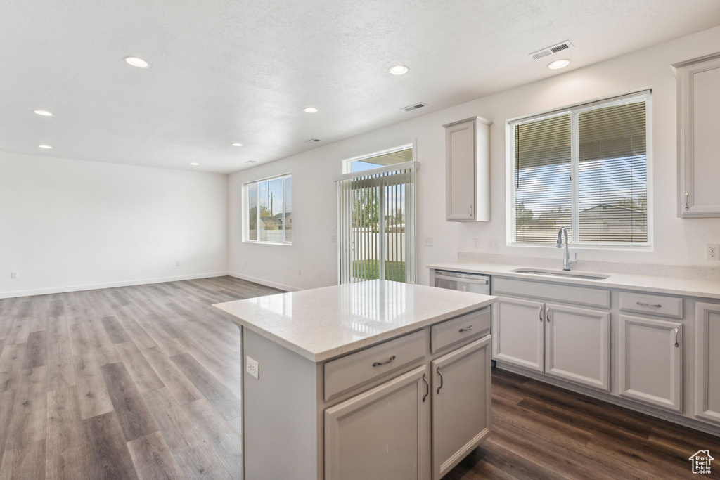 Kitchen featuring a sink, dark wood finished floors, recessed lighting, stainless steel dishwasher, and visible vents