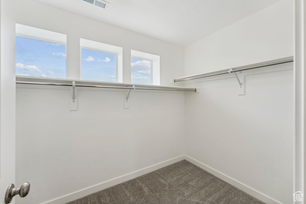 Walk in closet featuring visible vents and carpet