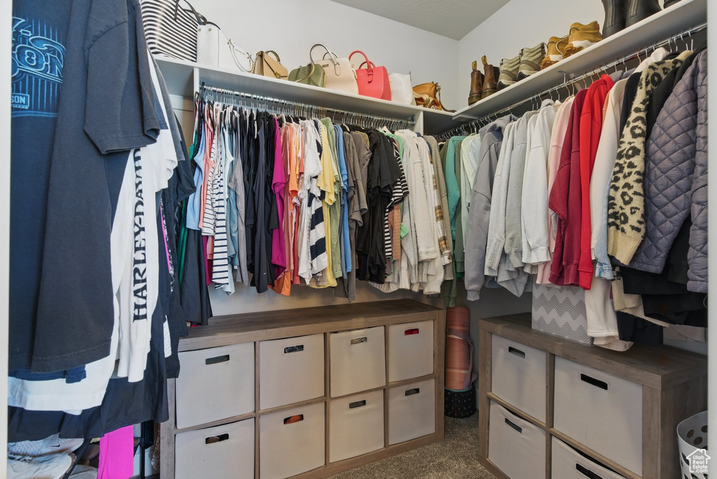 Spacious closet featuring carpet