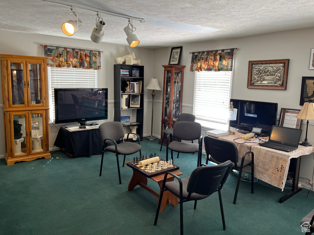 Office space featuring carpet flooring, a textured ceiling, and plenty of natural light