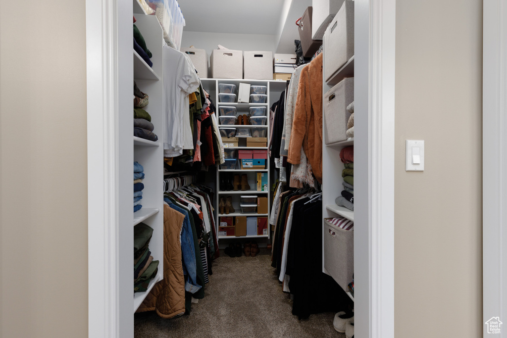 Walk in closet with carpet