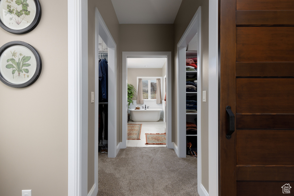 Hall featuring carpet