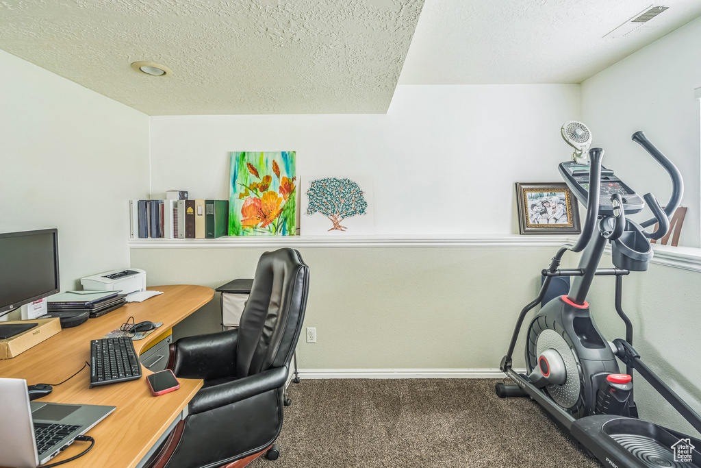 Carpeted office featuring baseboards and a textured ceiling