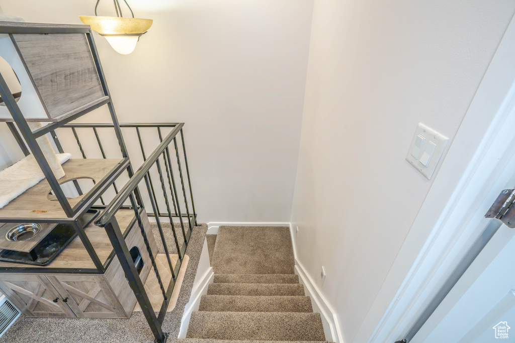Stairs with baseboards and carpet flooring