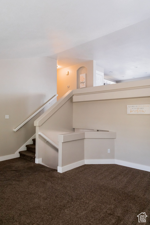 Stairway with baseboards and carpet
