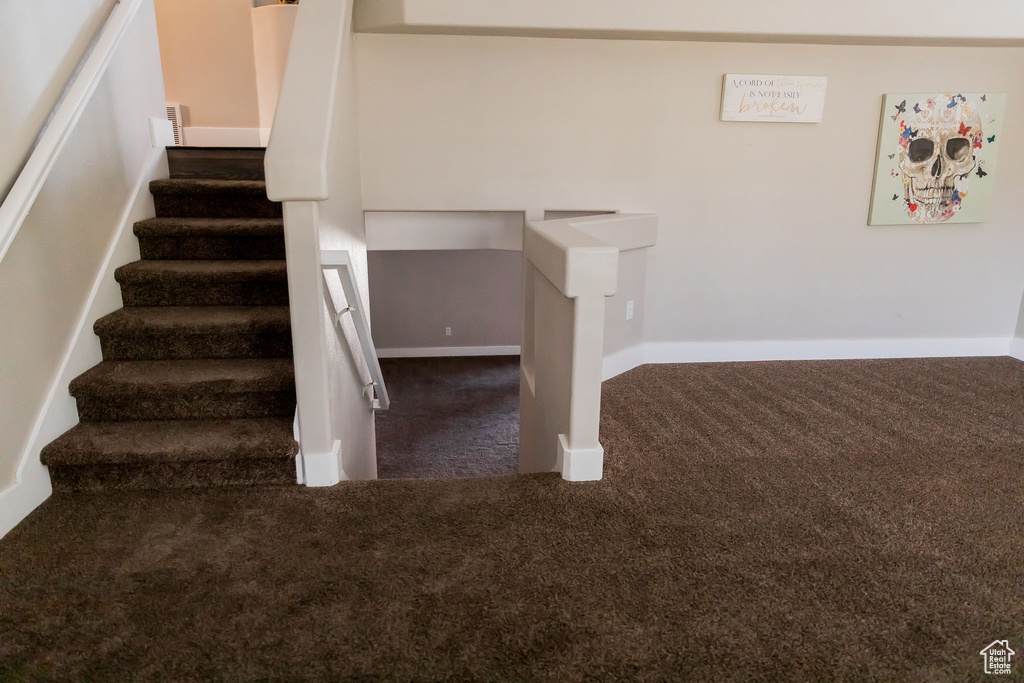 Stairs with carpet floors and baseboards