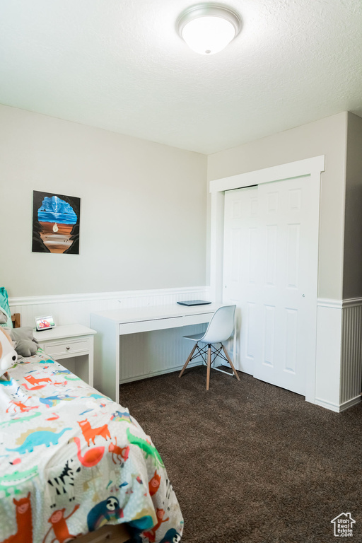 Bedroom with a closet, carpet, and wainscoting