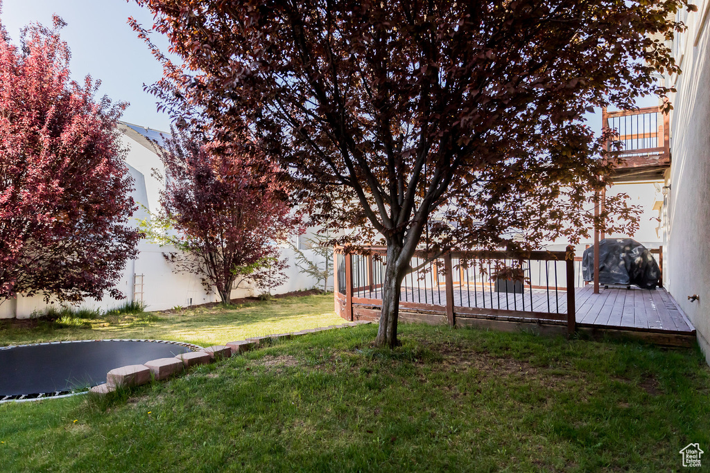 View of yard featuring a trampoline and a deck