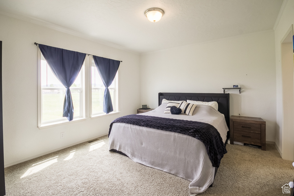 Carpeted bedroom with multiple windows, ornamental molding, and baseboards