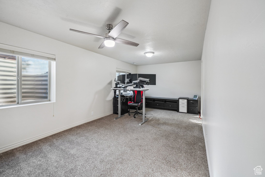 Office with carpet floors, a ceiling fan, baseboards, and plenty of natural light