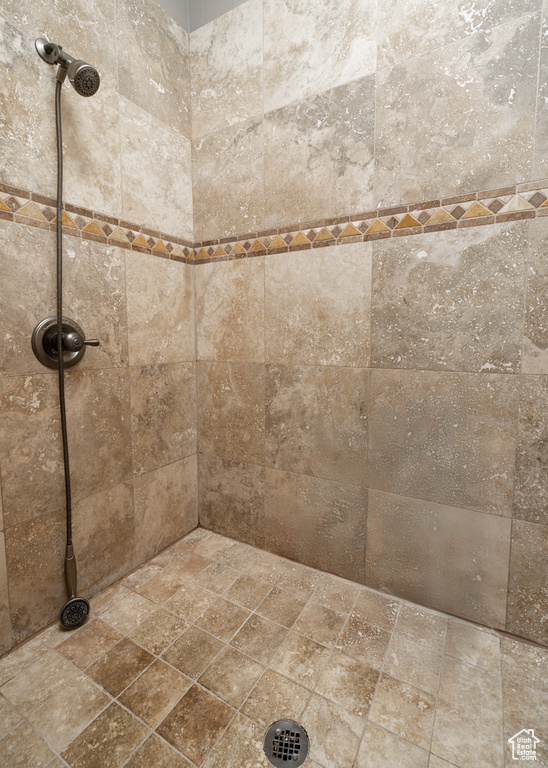 Interior details with tiled shower