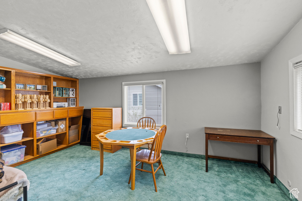 Dining room featuring carpet floors