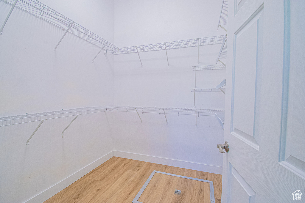 Spacious closet featuring light wood-type flooring